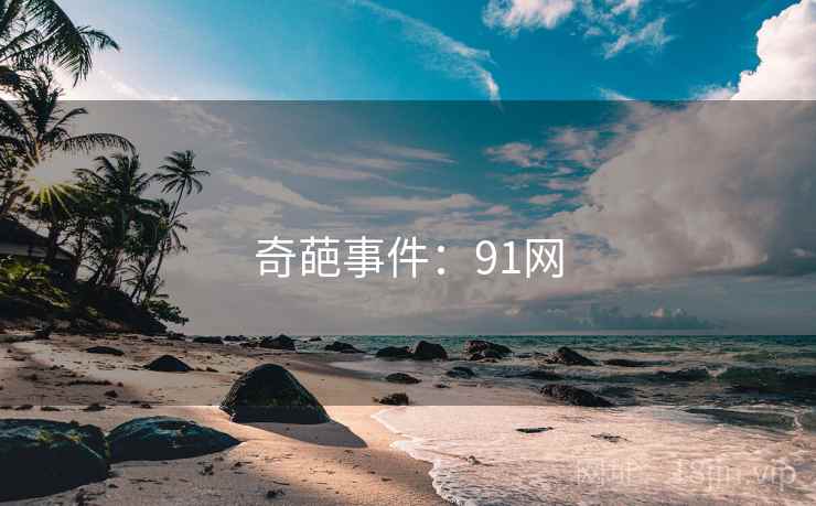 奇葩事件：91网