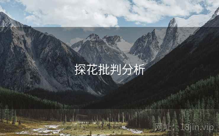 探花批判分析