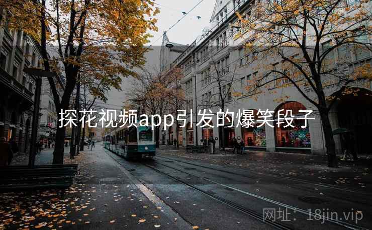 探花视频app引发的爆笑段子
