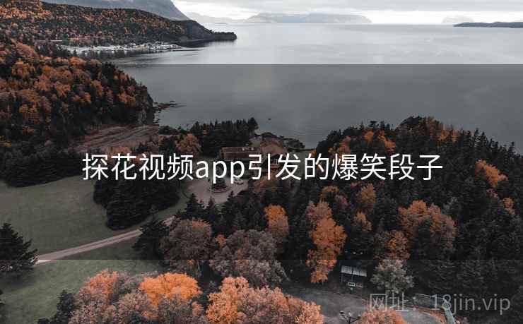 探花视频app引发的爆笑段子