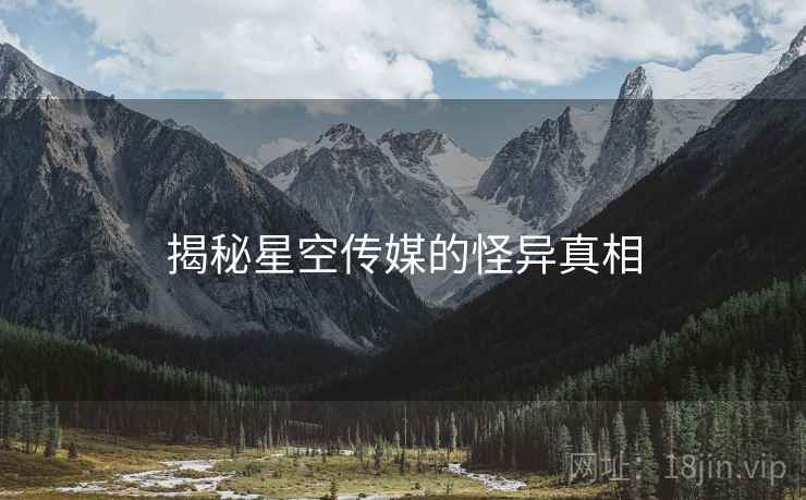 揭秘星空传媒的怪异真相  第2张