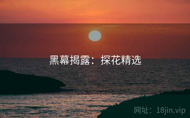 黑幕揭露：探花精选