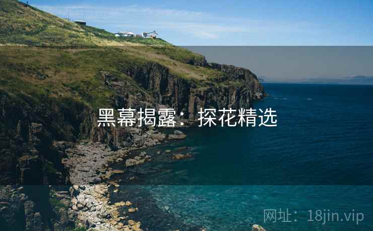 黑幕揭露：探花精选