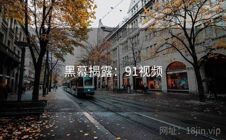黑幕揭露：91视频
