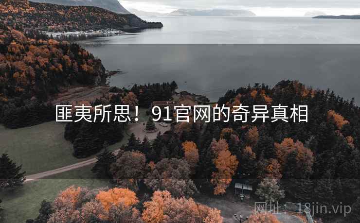 匪夷所思！91官网的奇异真相