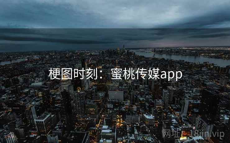 梗图时刻：蜜桃传媒app