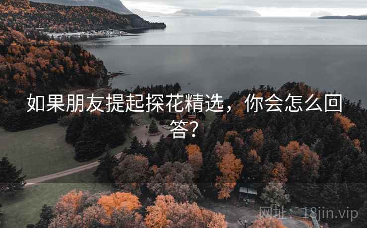 如果朋友提起探花精选，你会怎么回答？  第2张