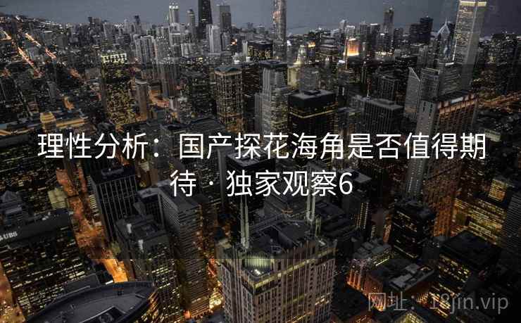 理性分析：国产探花海角是否值得期待 · 独家观察6